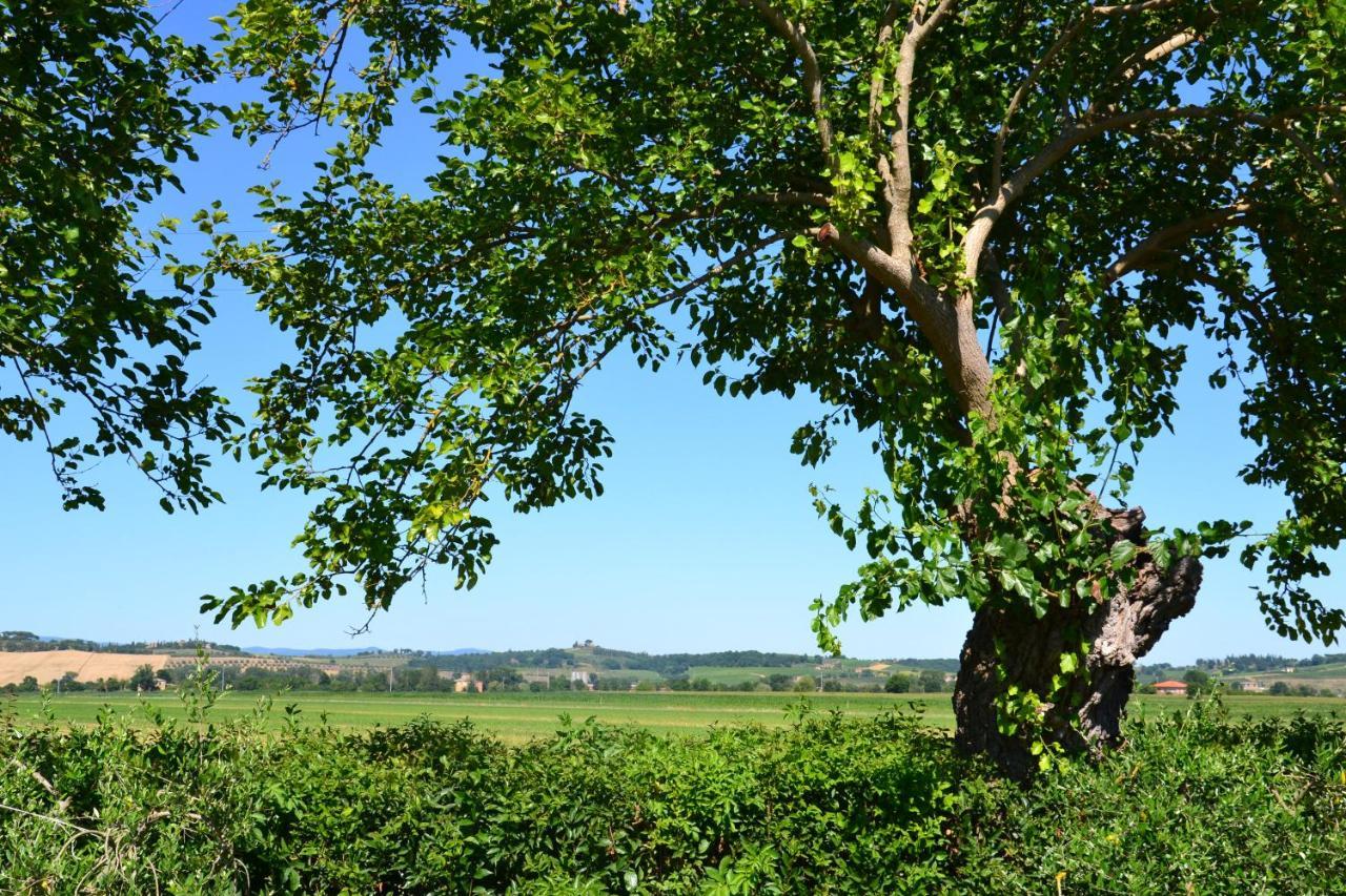 Agriturismo Le Stringaie Montepulciano Stazione Екстериор снимка
